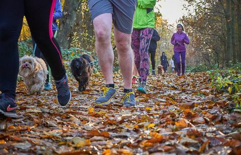 <p> Se você ainda não corre, faça de 2018 o ano em que você começa. E que maneira melhor do que se inscrever em um dos números cada vez maiores de <a href = " http://www.parkrun.org.uk/">parkrun</a> eventos? Atualmente, existem 682 parkruns todo fim de semana em todo o país, com cerca de 130.000 pessoas participando a cada semana - o que representa um aumento de 33.000 no ano passado - e há mais eventos por vir. </p> <p> <strong data-redactor-tag = "strong"> Você precisará: </strong> <br> </p> <p> <span class = "redactor-invisible-space"> Apenas um bom par de tênis e roupas adequadas. É gratuito para participar (basta se registrar on-line com antecedência) e é perfeito para todas as habilidades - os iniciantes podem simplesmente ter um tempo livre quilômetros. </span> </p> <p> <strong data-redactor-tag = "strong"> O que há perto de você? </strong> <br> </p> <p> Cada parkrun é definido em belos cenários, então o cenário, bem como o multidões de apoio o estimularão. Visite o <a href = " http://www.parkrun.org.uk/" target = "_blank" data-tracking-id = "recirc-text-link"> site parkrun </a> para eventos perto de você. </p>