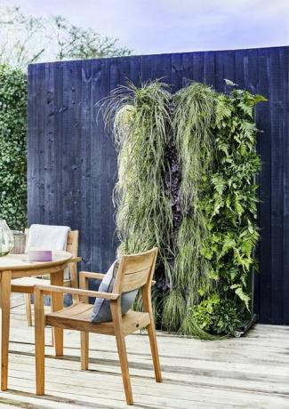 Dobbies Living Wall Plantadores