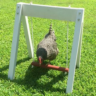 Chicken Swing Set