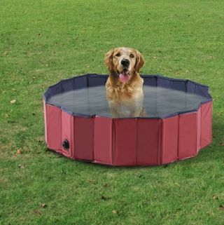 Banheira dobrável para natação para animais de estimação interna e externa