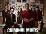 Criminal Minds - 1ª Temporada