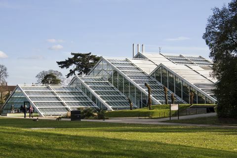 Conservatório da Princesa de Gales em Kew Gardens