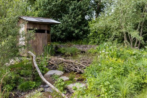 chelsea flower show best show garden 2022 um jardim paisagístico da Grã-Bretanha rewilding