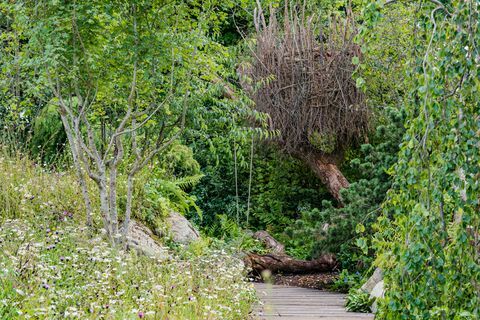 Kate Middleton Voltar para o jardim da natureza