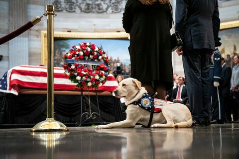 Presidente George H.W. Bush está em estado no Capitólio dos EUA