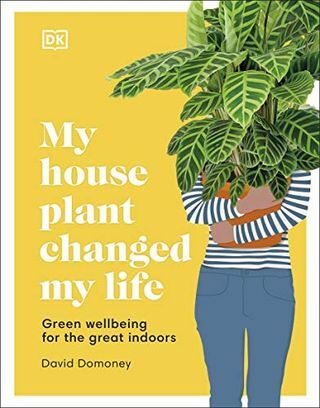 Minha planta da casa mudou minha vida: bem-estar verde para os grandes interiores