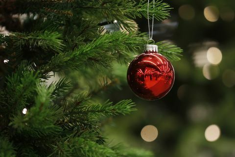 Um brinquedo de Natal paira sobre uma árvore