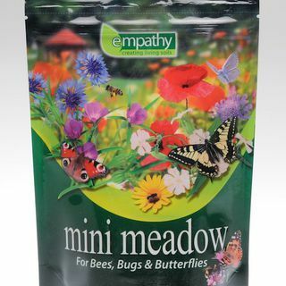 Empathy Mini Meadow para abelhas, insetos e borboletas imagens