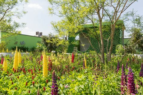 Jardim de Catherine MacDonald - Chelsea Flower Show 2018