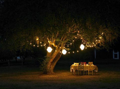 Jantar no jardim com luzes de fada