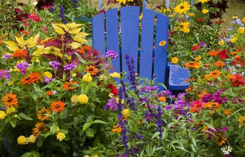 Como preparar seu jardim para cadeira de primavera no meio de plantas de flores anuais coloridas