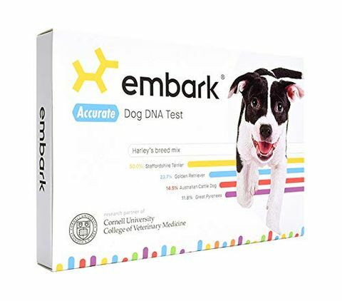 Há um relâmpago no kit Embark Dog DNA para o Amazon Prime Day