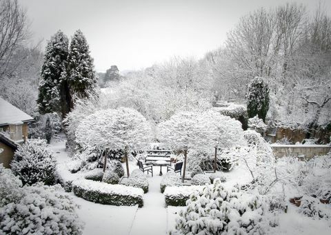 Jardim de Inverno