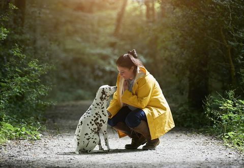 Mulher com cachorro dálmata no caminho da floresta.