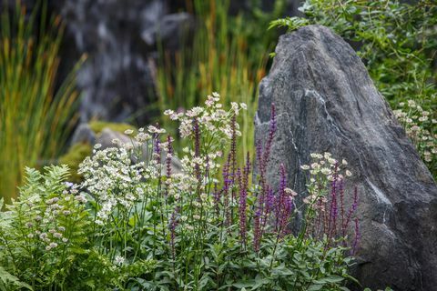 bodmin jail 60° leste – um jardim entre continentes desenhado por ekaterina zasukhina com carly kershaw patrocinado por bodmin jail e bodmin jail hotel show garden rhs chelsea flower show 2021 stand no 1