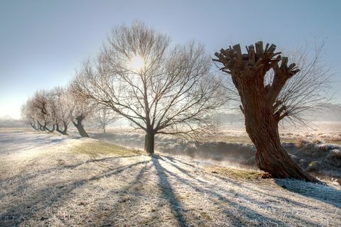 Paisagem gelada em Richmond