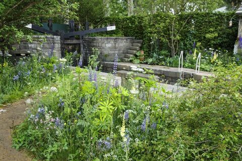 Bem-vindo ao Yorkshire Chelsea Flower Show garden 2019 Mark Gregory