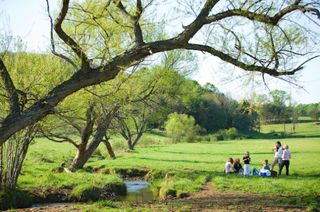 Piquenique de verão em Bundoran Farm