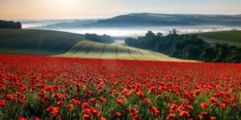 Vencedor do fotógrafo de paisagens do ano 2018