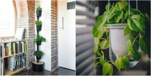 plantadores autoirrigáveis ​​vasos de plantas