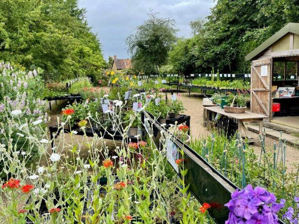 Mansão de East Lambbrook com jardins famosos à venda em Somerset