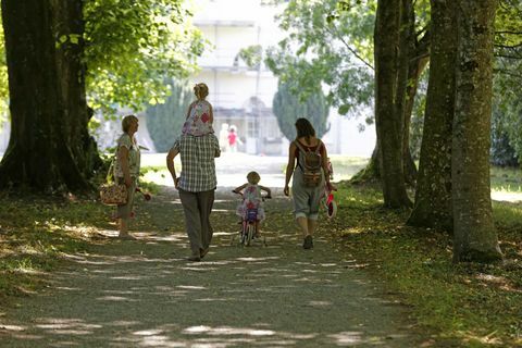 Saltram Devon © Imagens do National Trust Chris Lacey