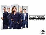 Law & Order: SVU Temporada 20