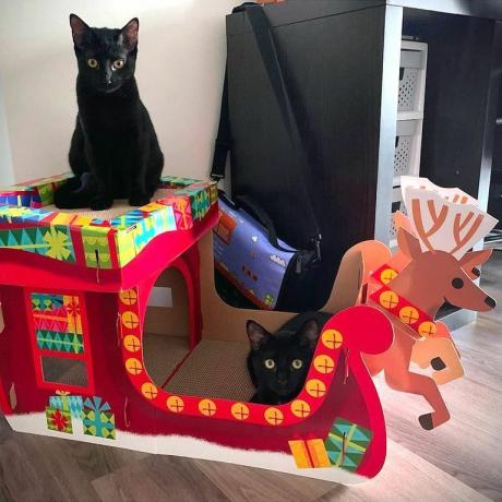 Target Wondershop Natal Casa Arranhador De Gato