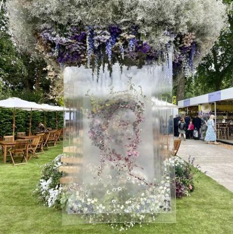 plantas roxas tendência do desfile de flores de chelsea