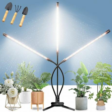 BAEDAOD Grow Lights para plantas de interior