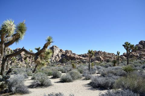 pioneertown, califórnia