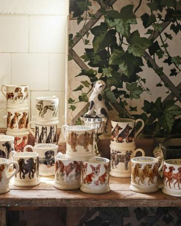 Emma Bridgewater lança linha para cães