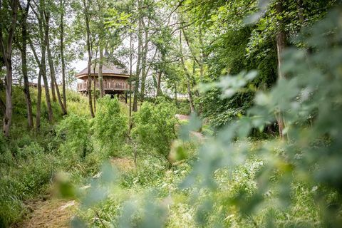 alugue esta casa na árvore em worcestershire