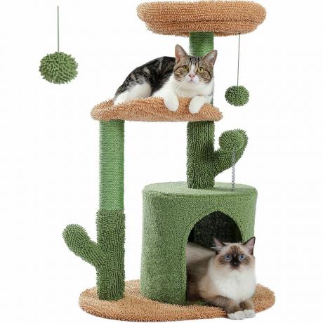 Torre Cat Tree com poste para arranhar