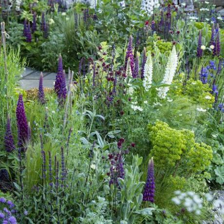 esquemas de plantio de jardins bem-vindos ao jardim de yorkshire