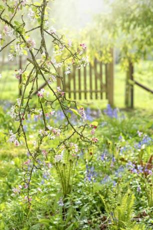 quando começa a primavera no reino unido