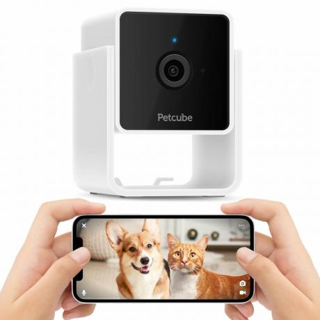 Pet Wi-Fi interno e câmera de segurança