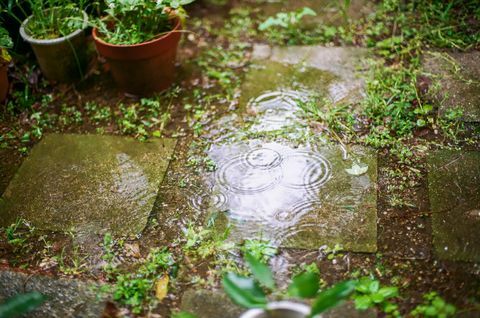 gotas de chuva deixando anéis na água no jardim