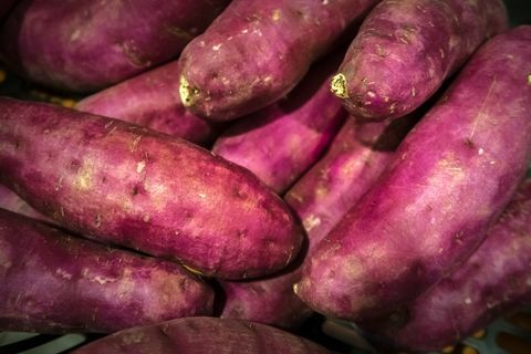 Close-up de batata doce japonesa (Ipomoea batatas)