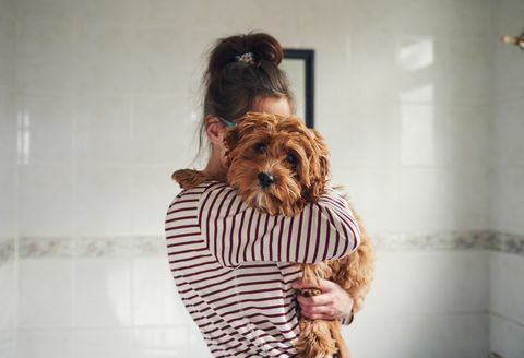 mulher, abraçando, filhote cachorro