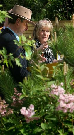 jurados discutem o show Gardens, Chelsea Flower Show 2008