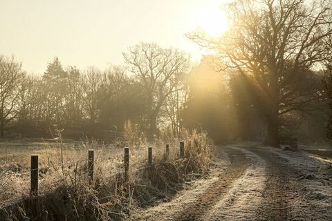 Geada no caminho a pé de inverno