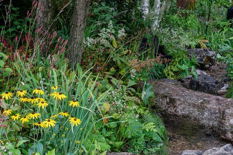 o jardim orgânico yeo valley projetado por tom massey, apoiado por sarah mead patrocinado por yeo valley organic show garden rhs chelsea flower show 2021 estande no 323