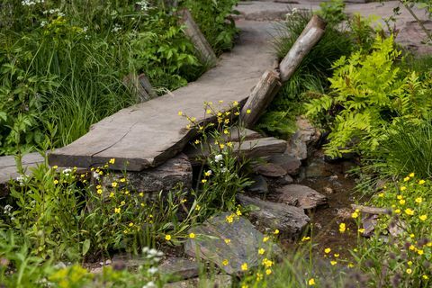 chelsea flower show best show garden 2022 um jardim paisagístico da Grã-Bretanha rewilding