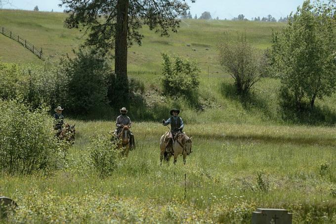 cowboys cavalgando pelo prado em yellowstone