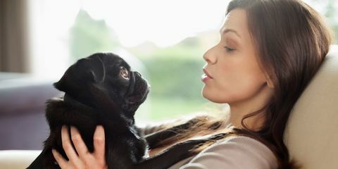 Mulher relaxante com cachorro no sofá