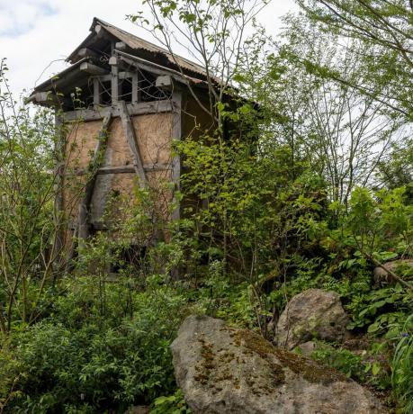 exposição de flores de chelsea 2023 jardinagem