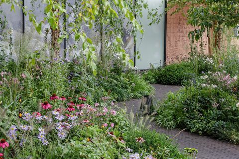 o jardim do rouxinol de florença uma celebração da enfermagem moderna projetada por robert myers patrocinado pela confiança burdett para a mostra de enfermagem jardim rhs chelsea flower show 2021 estande no 322