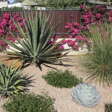 idéias de jardim de cascalho