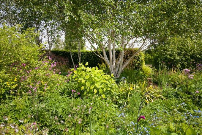 Mansão de East Lambbrook com jardins famosos à venda em Somerset